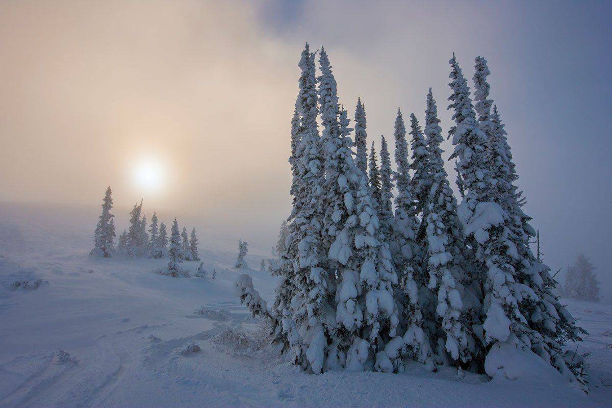 , Владимир Сковородников