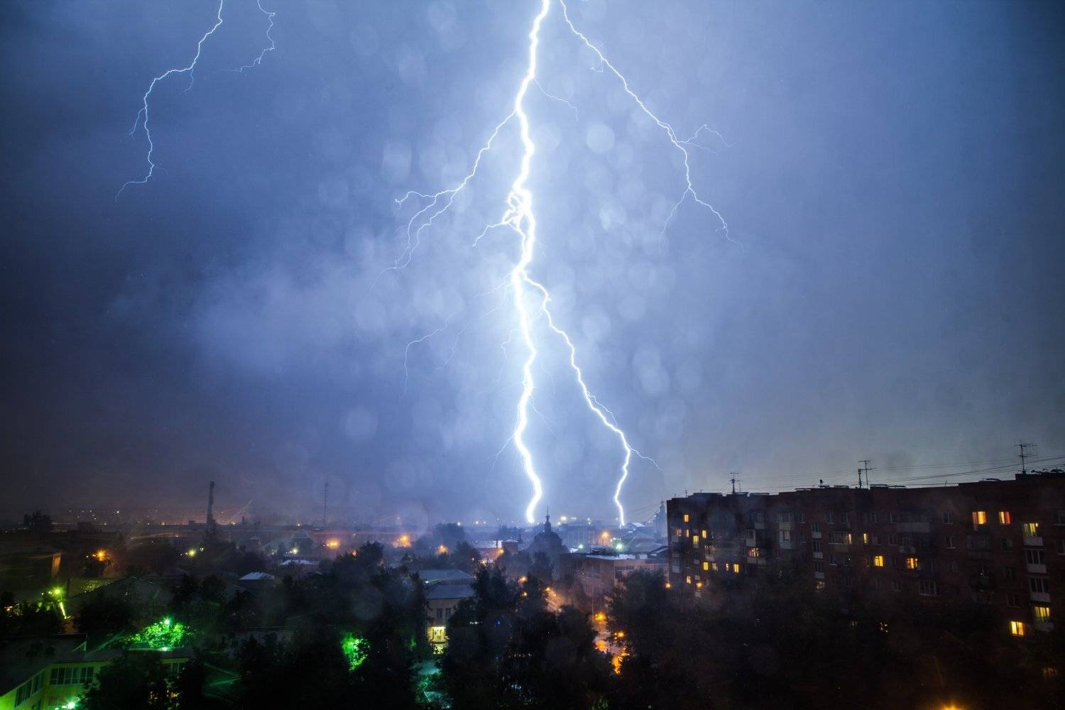 , Алексей Пирязев