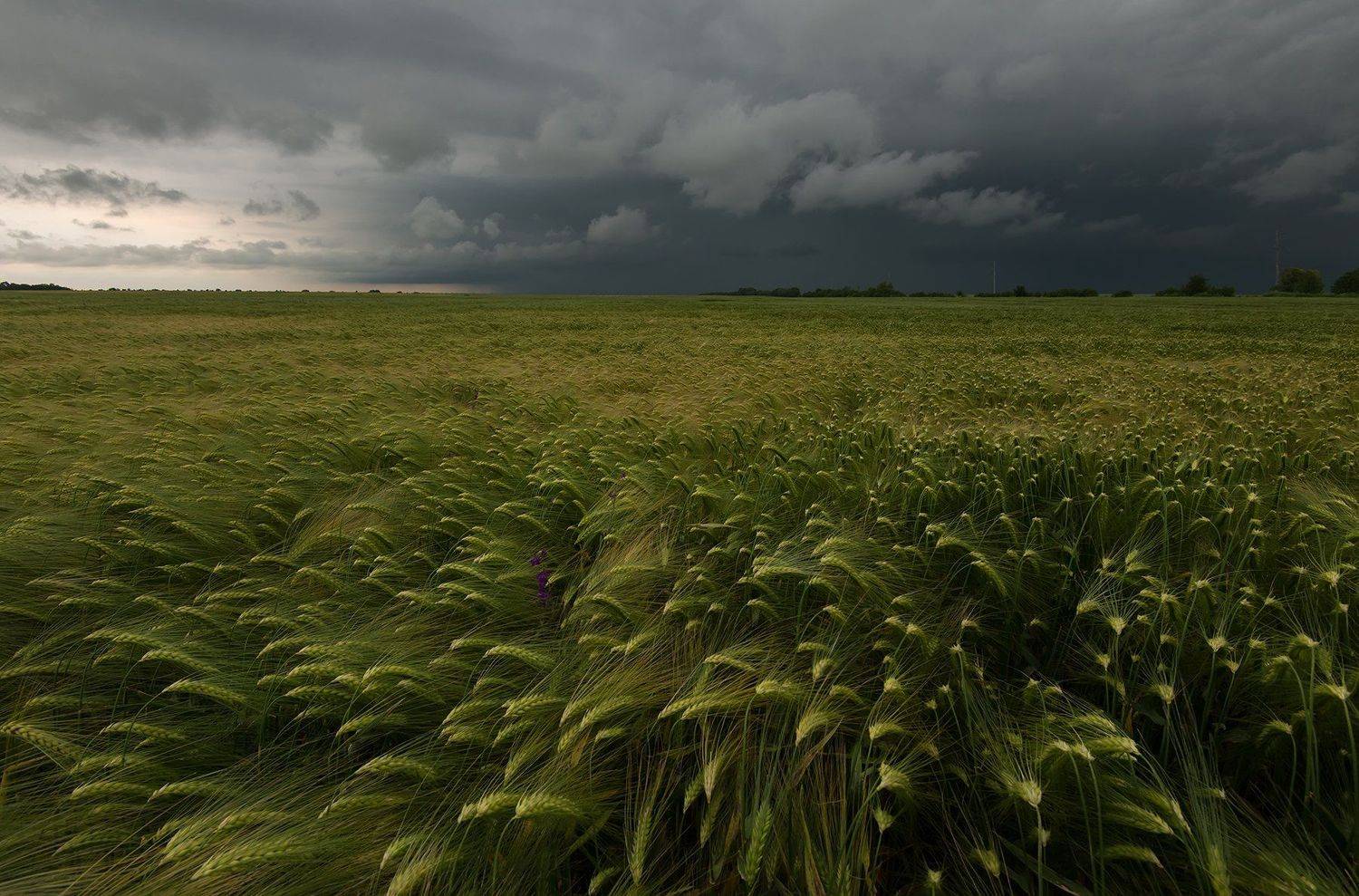 , Александр Нассонов