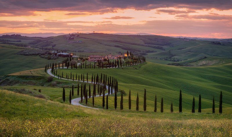 italy, tuscany, весна, италия, тоскана The way to home. фото превью