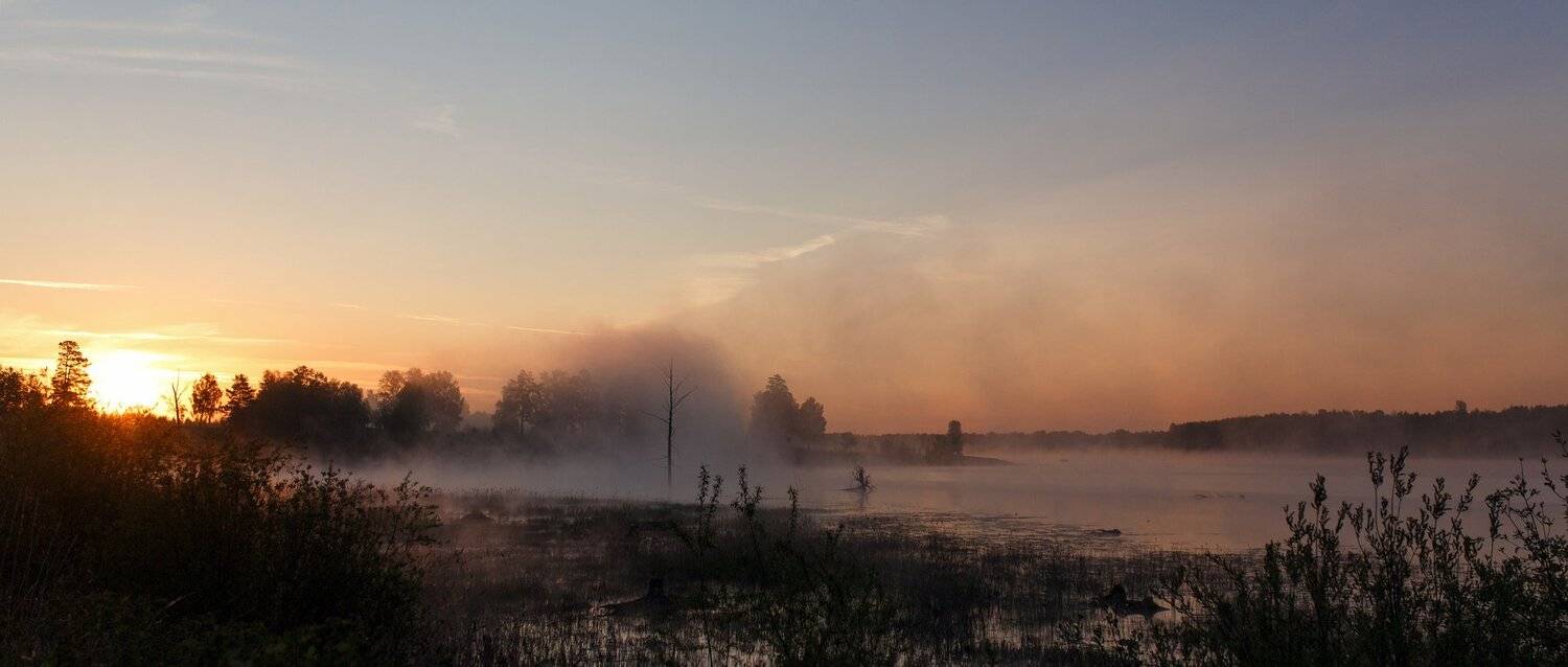 Вода, Лето, Рассвет, Солнце, Туман, Цвелёв Дмитрий