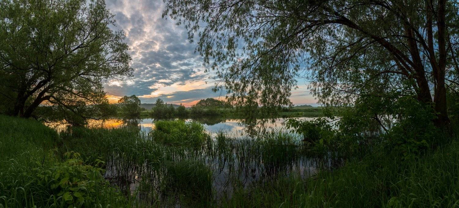 , Александр Бредихин