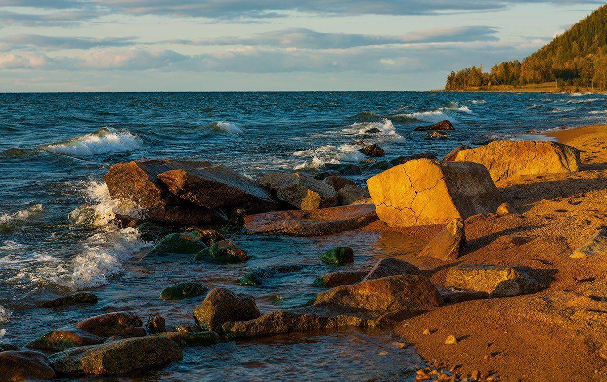 , Владимир Сковородников