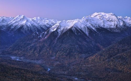 Утро красит нежным светом...