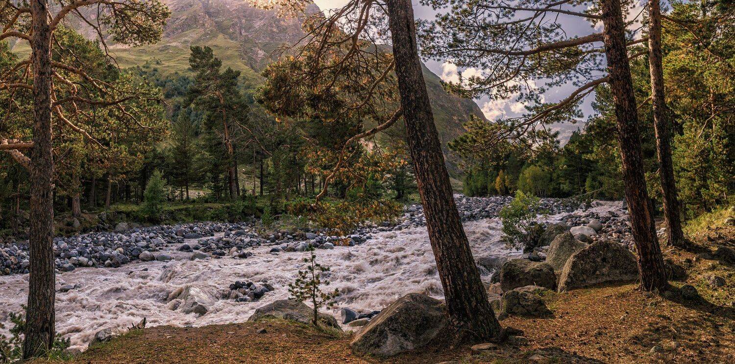 , Игорь Мелекесцев