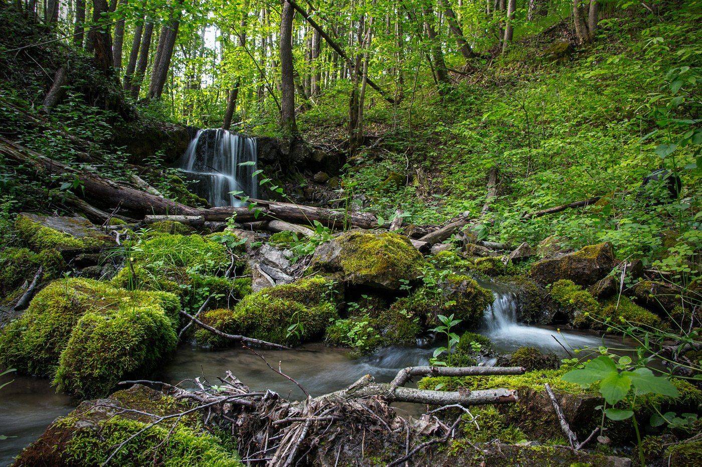 Мария, Серена, водопад, ручей, Александр