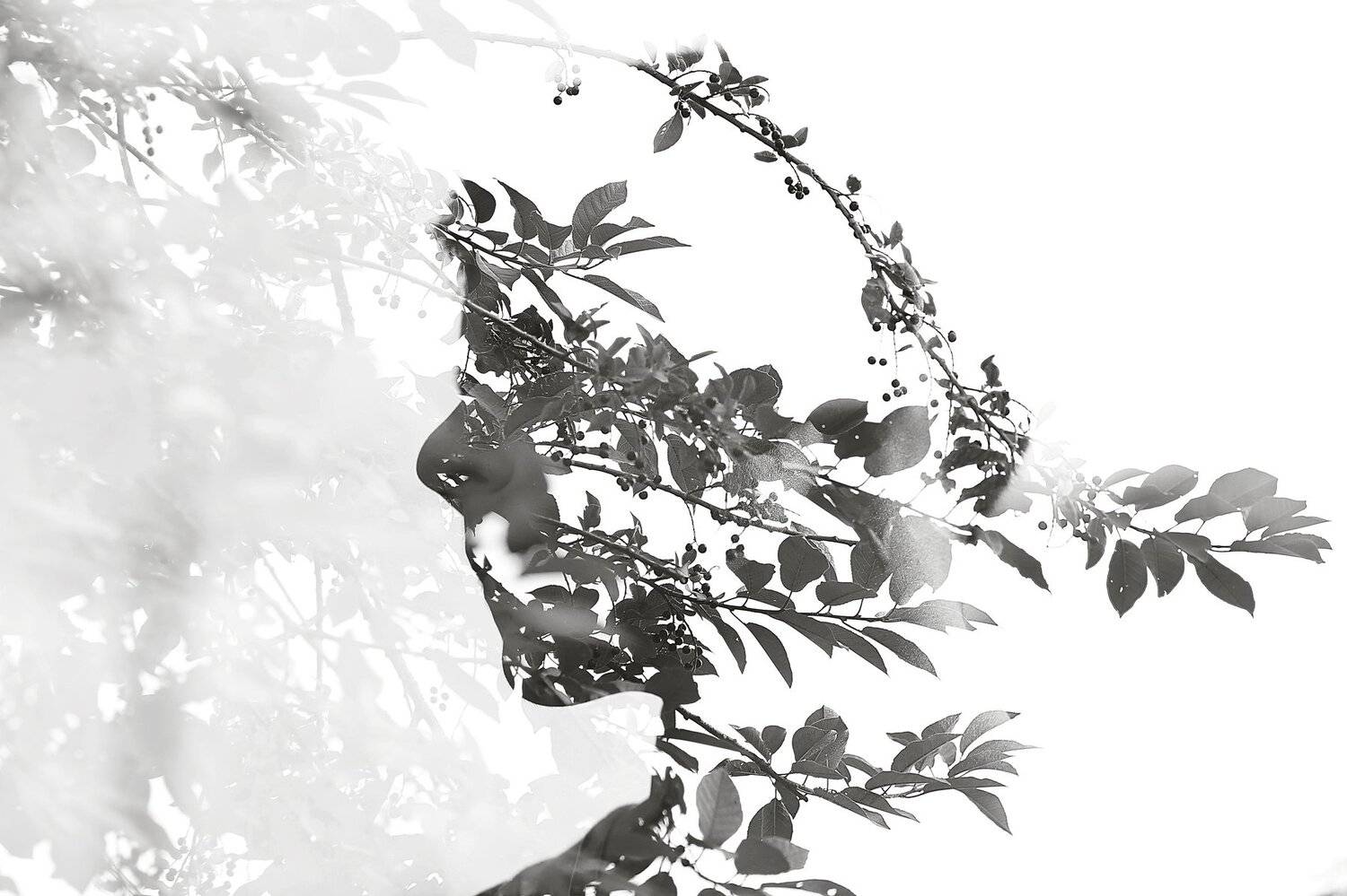 , Инна Сухова