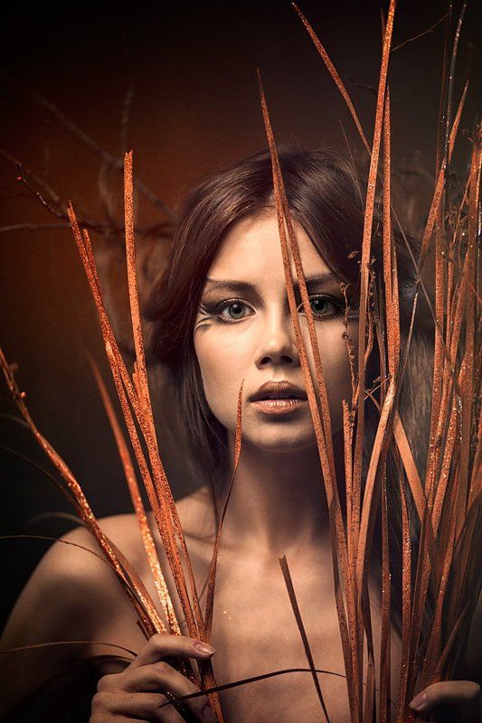 портрет Лань фото превью