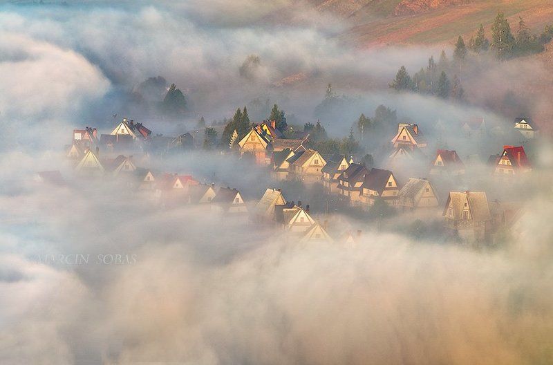 In misty waves фото превью