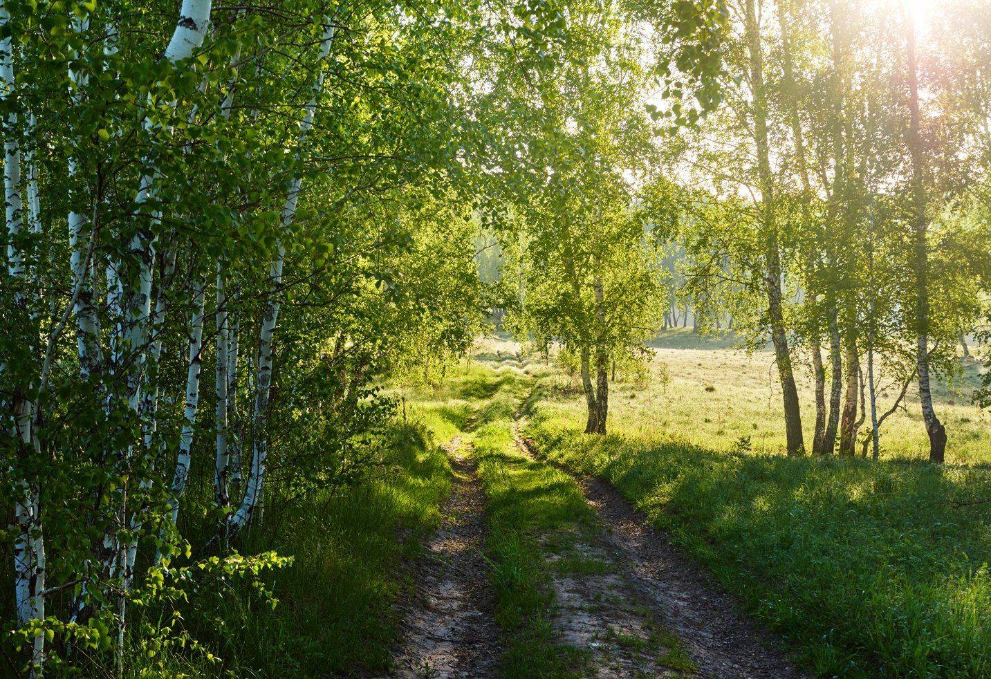 , Сергей Романчук