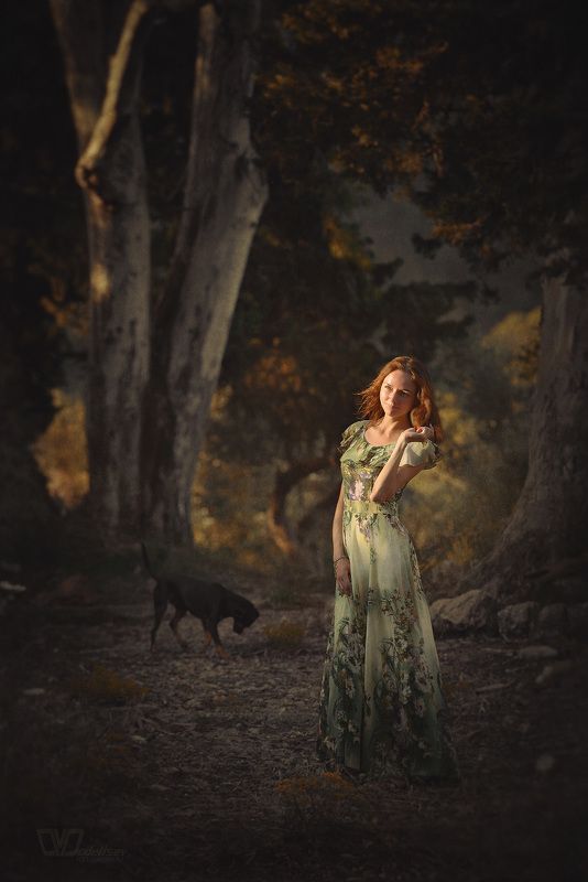 майорка, лес, собака, девушка, закат На закате фото превью