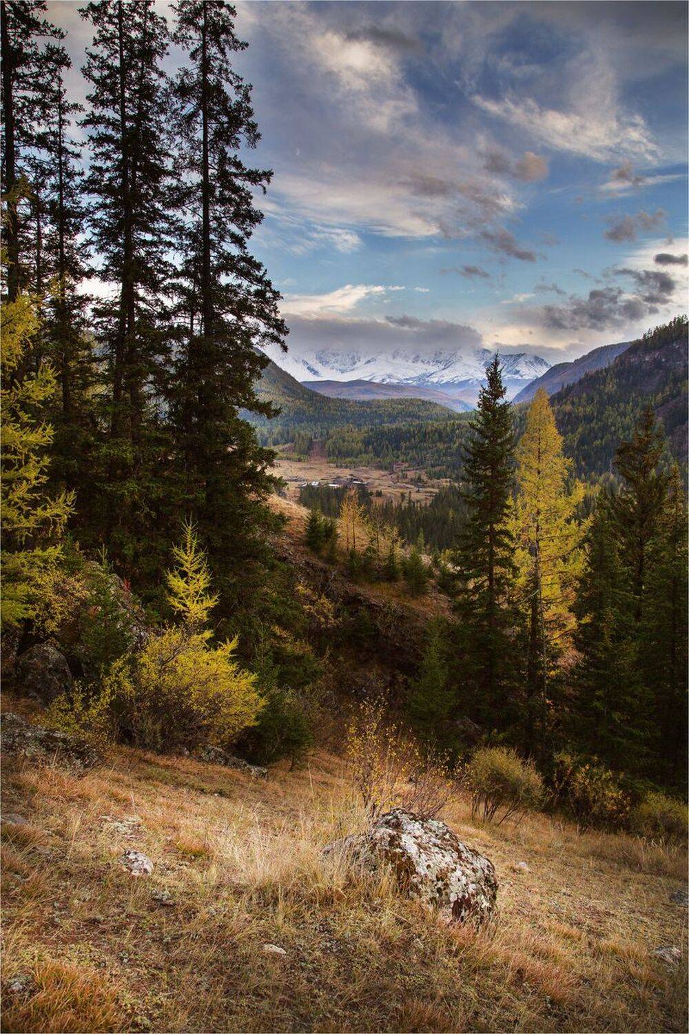 , Художников Павел