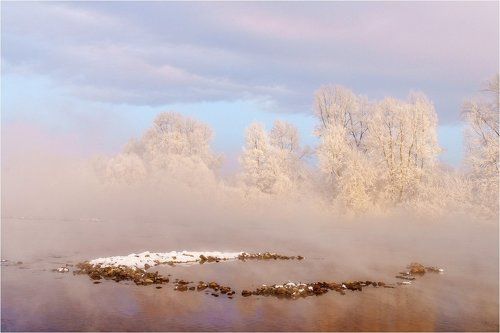 В нежно розовом тумане!