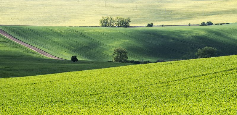 spring фото превью