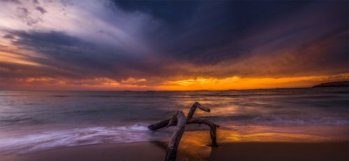 beach panorama