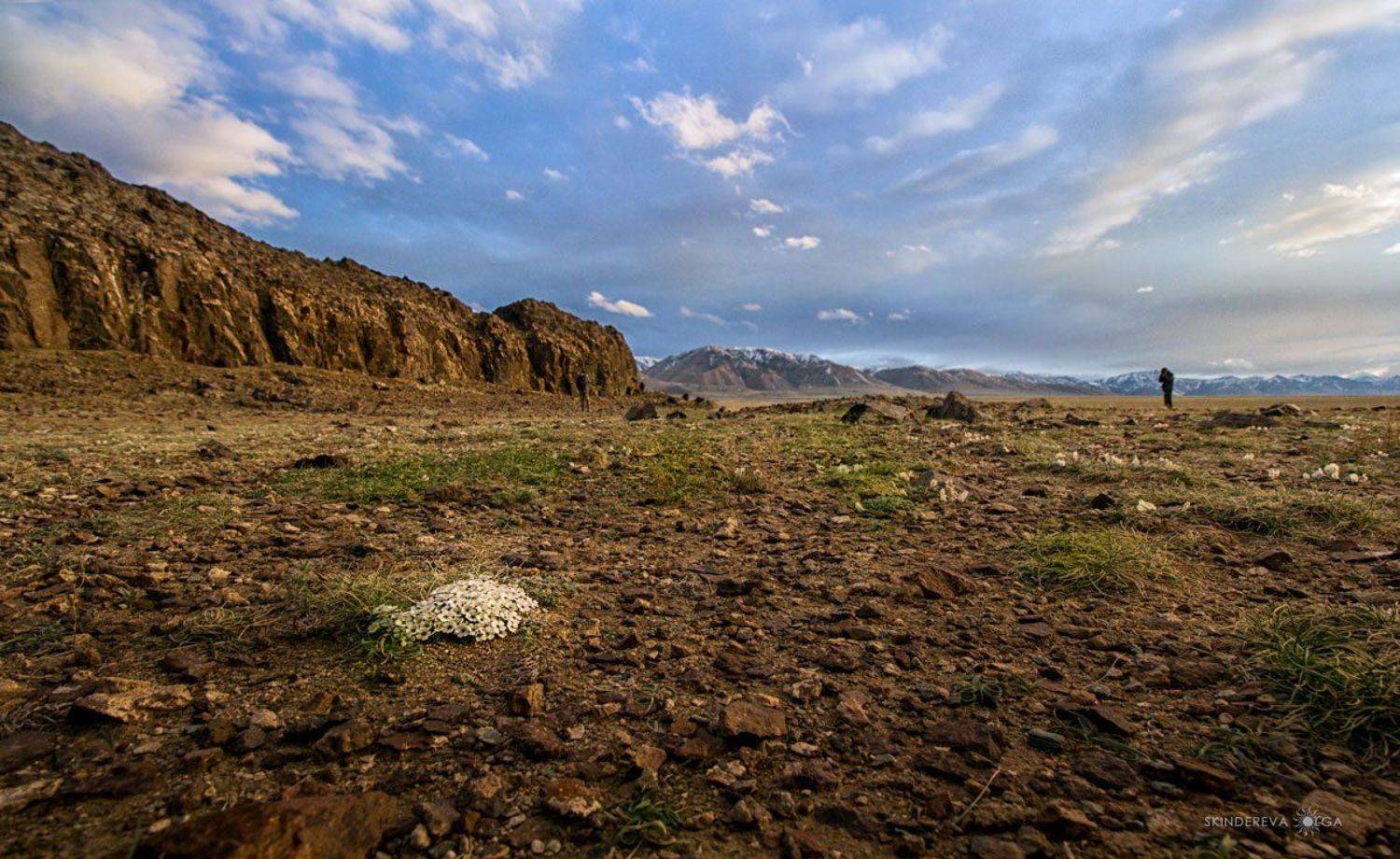 Монголия, Скиндерева Ольга