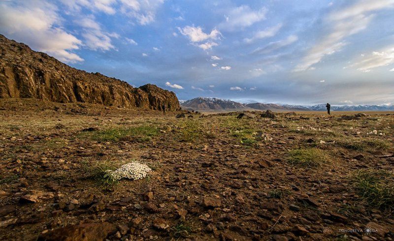 Монголия На краю Земли фото превью