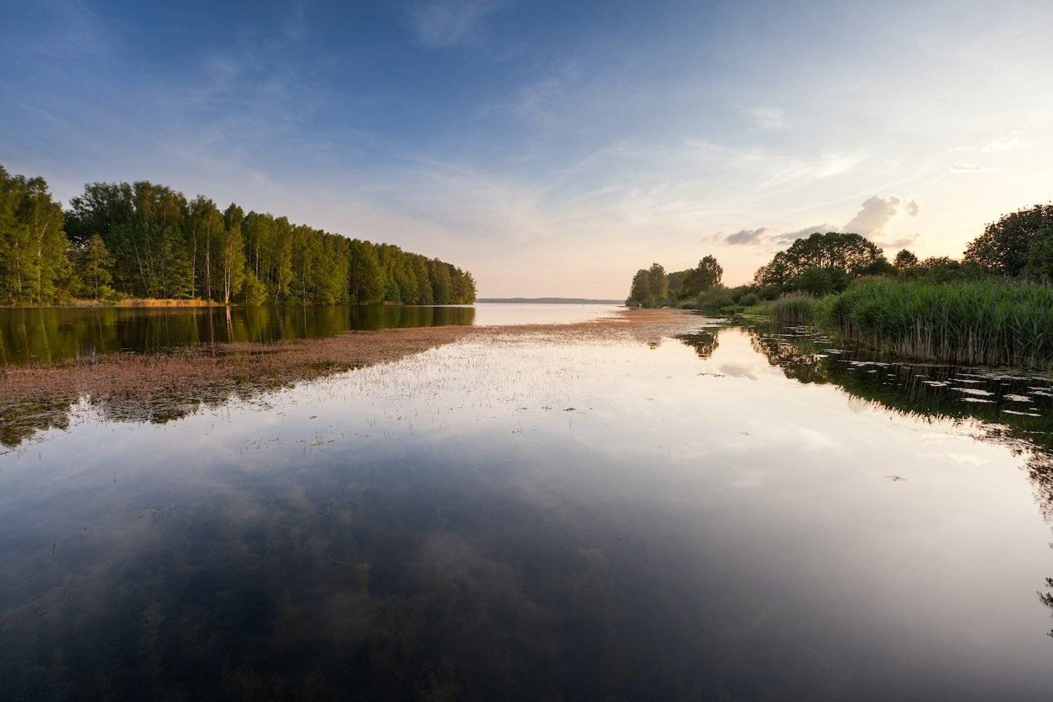 , slanec (Игорь Иванов)