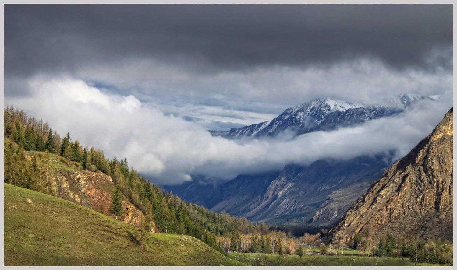 , Галина Хвостенко