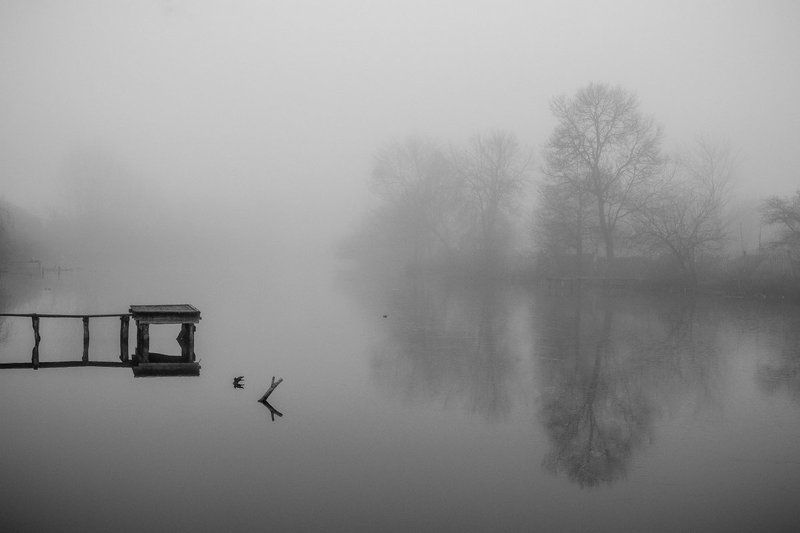 туман мгла фото превью