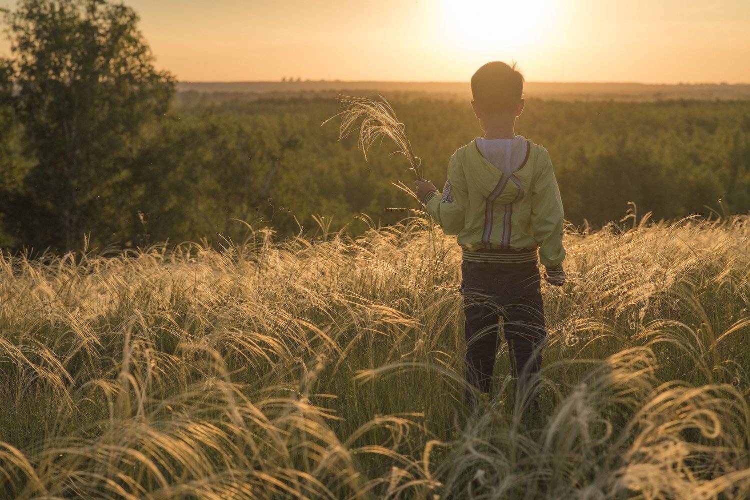 пейзаж, природа, закат, вечер, лето, поле, Дмитрий Старостенков