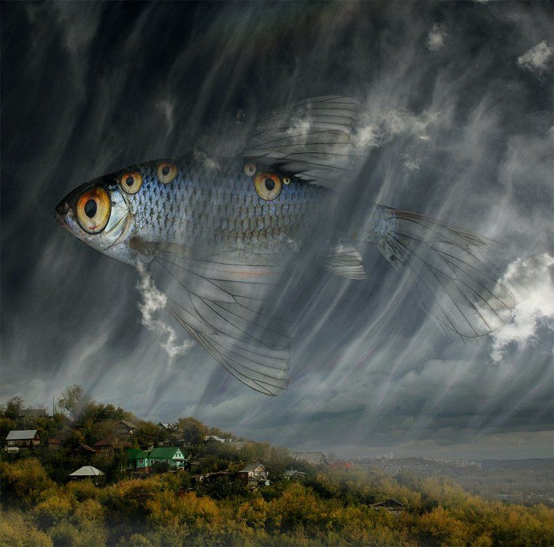 Рыбьи сны... фото превью