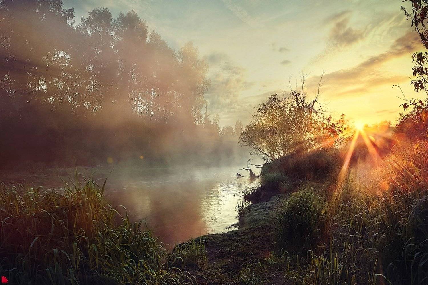 , Осипов Ёжъ Александр