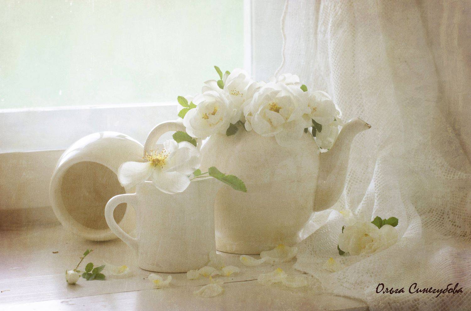 , Синегубова Ольга