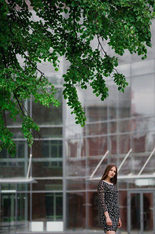 , Олег Логунов