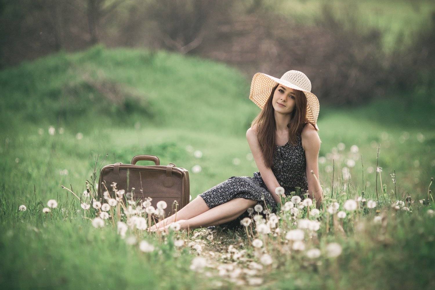 , Здрок Виталий