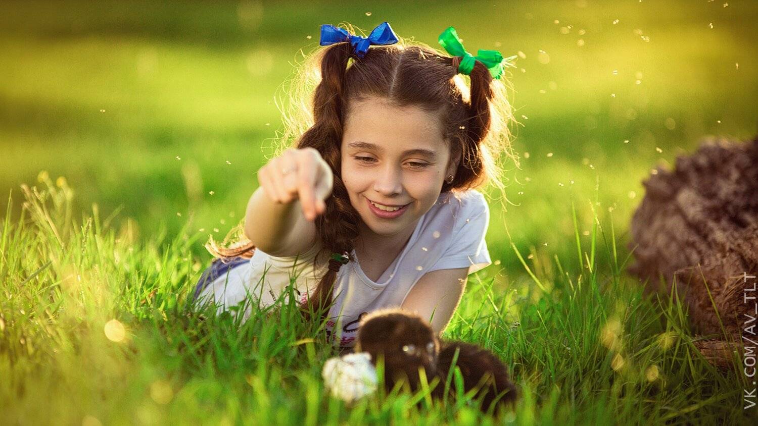 девочка,на закате,котенок,в траве, Сухарь Александр