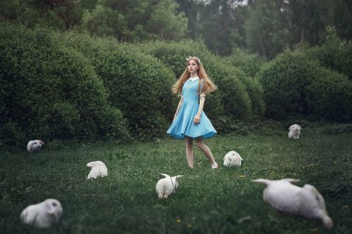 Белый кролик