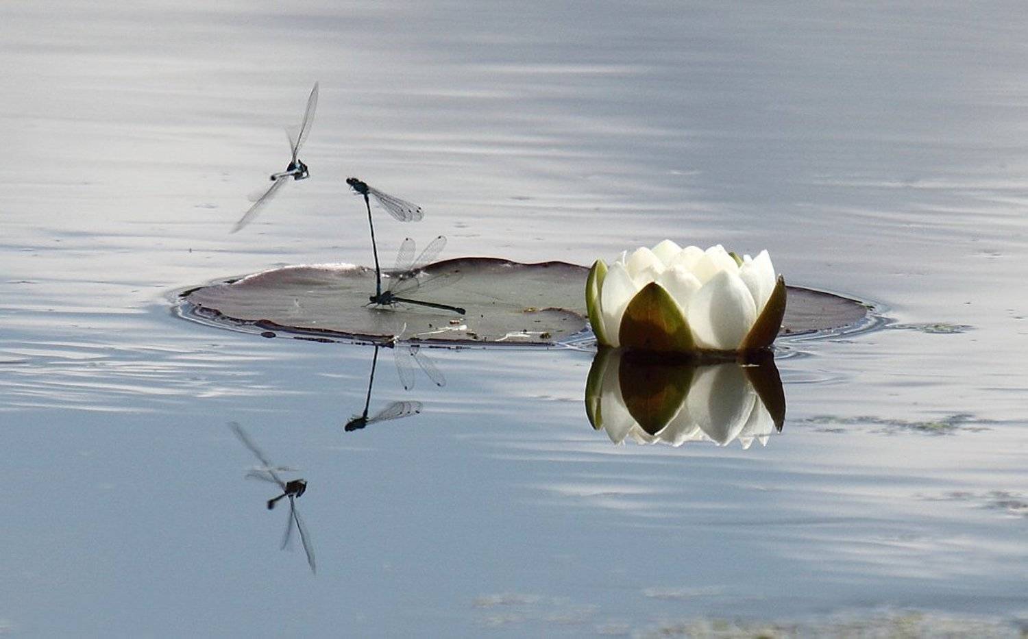 , Сергей Таланов