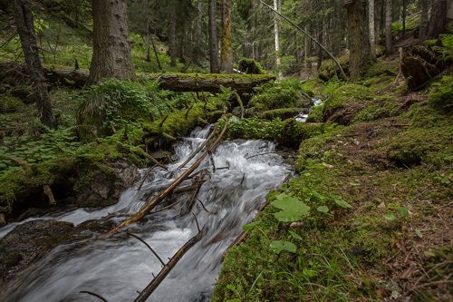 Горный ручей...