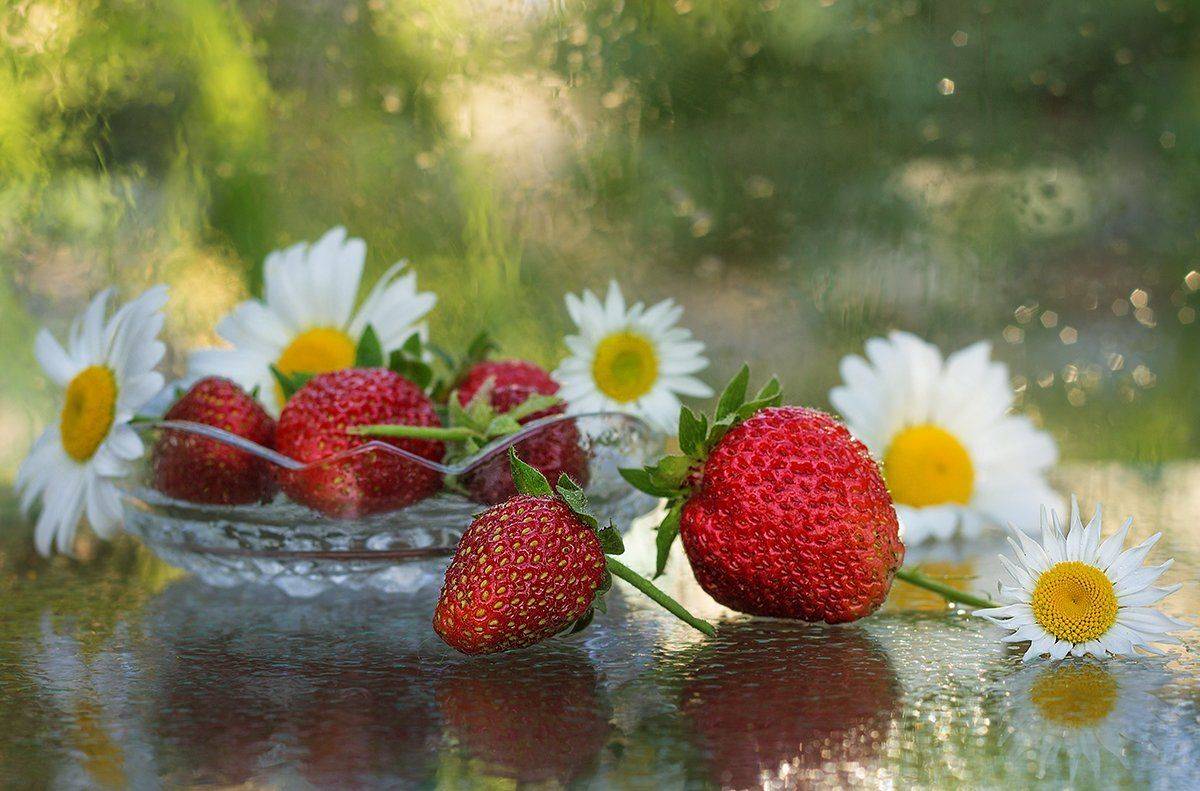 Клубника, Ромашка, Инна Сухова