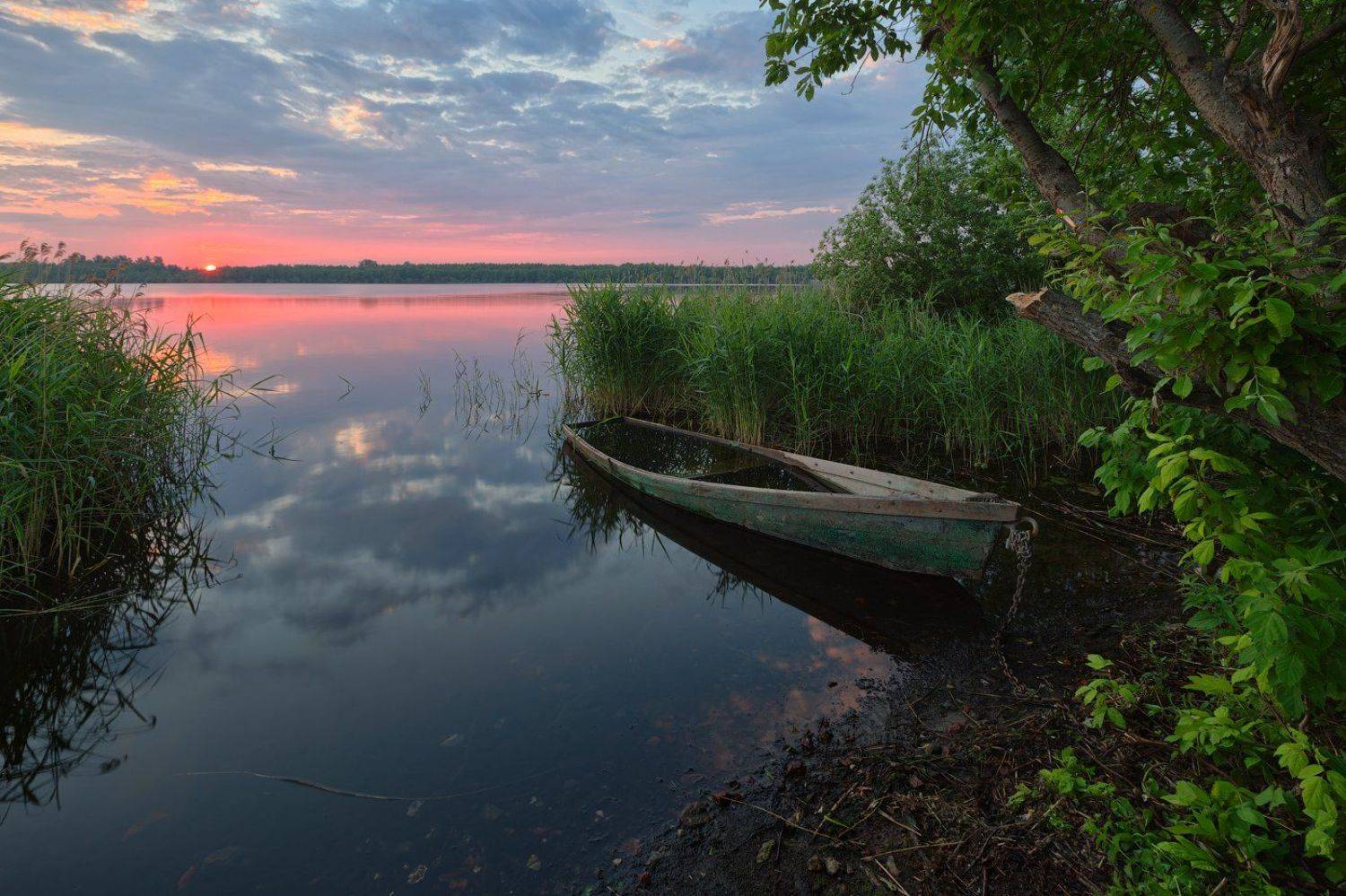 , Денис Сорокин