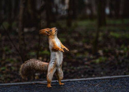 Что там у вас вкусненького?