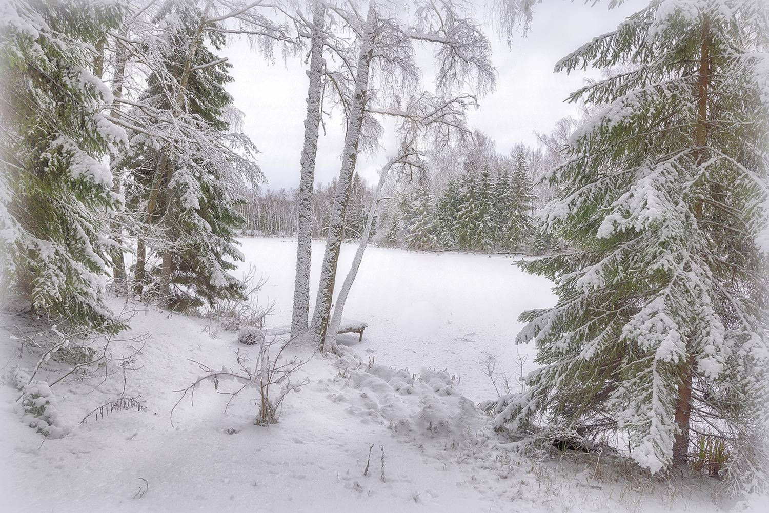 , Сергей Аникин