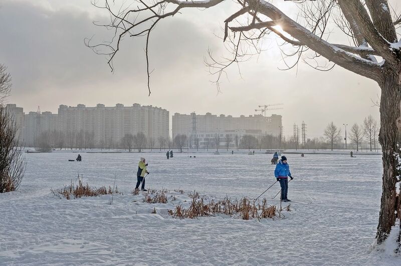 На замёрзшем пруду фото превью