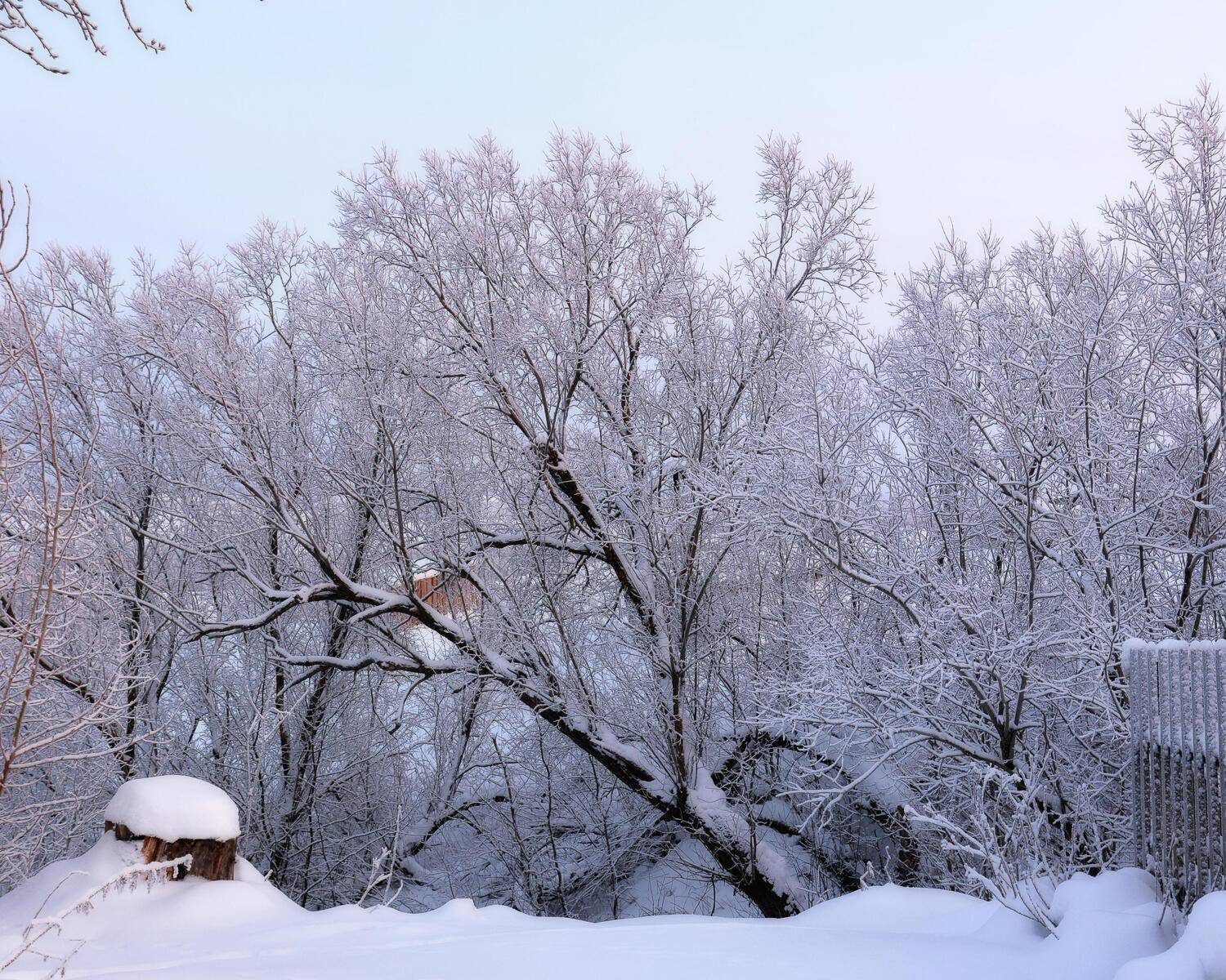 , Александр Титов
