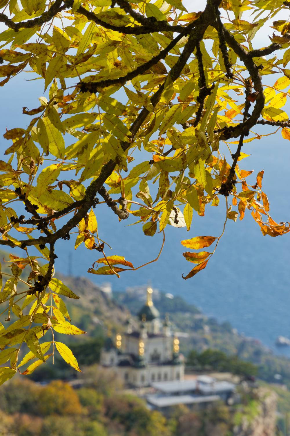 , Какоткин Роман