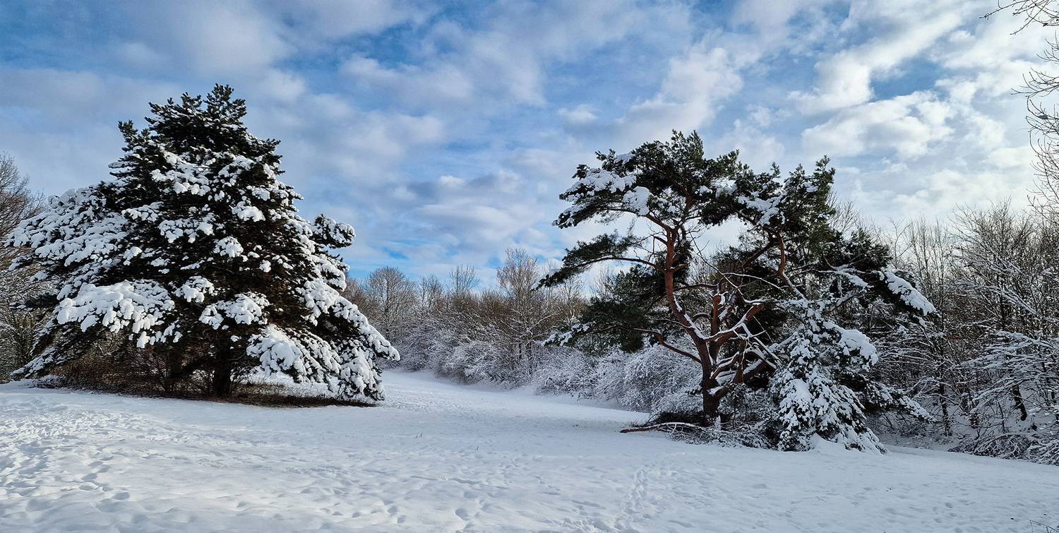, Игорь Дубровский