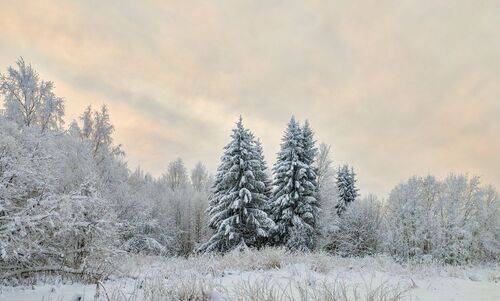 Зимний день