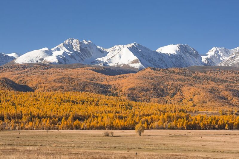 россия, горный алтай, счх, степь, осень, утро Безоблачное утро фото превью