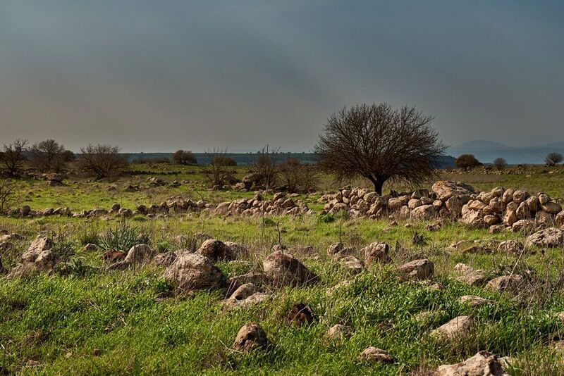 Golan Heights фото превью