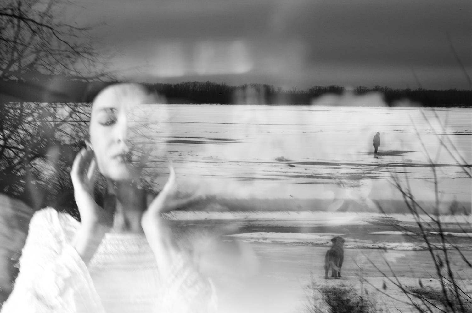 , Шарабанов Дмитрий