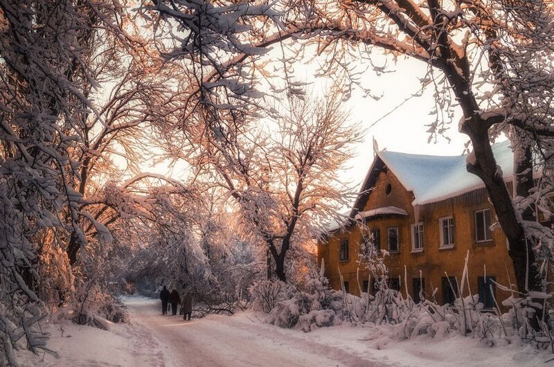Одно рождественское утро фото превью