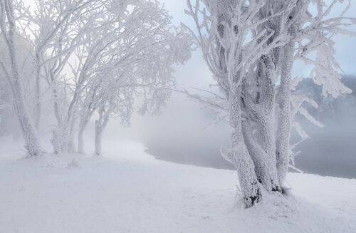 Зимнее безмолвие