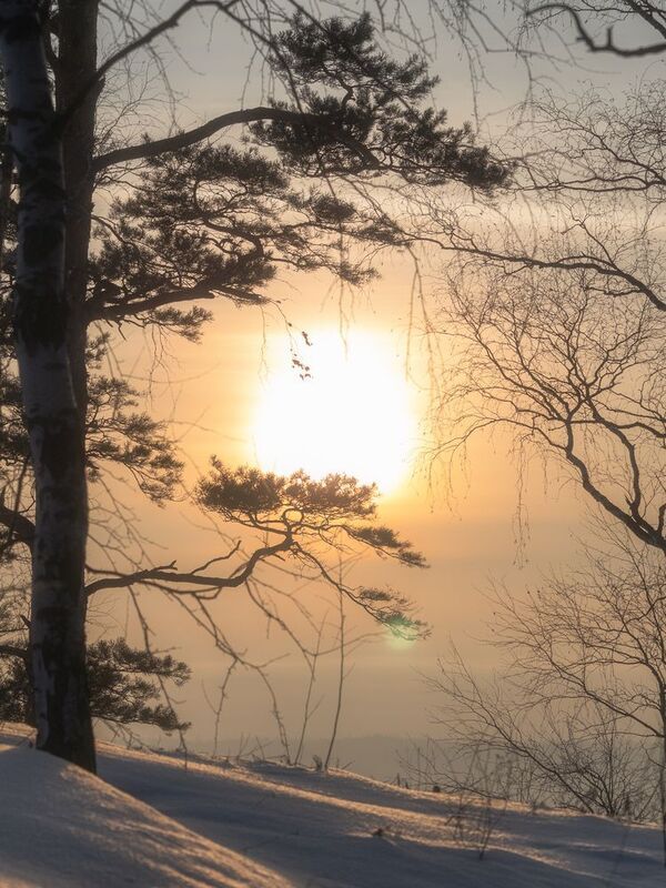 Зимний закат фото превью