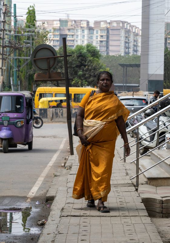 Сокровище Индии фото превью